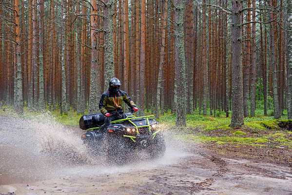 Прокат квадроциклов . Подарочные сертификаты Ultra Подарки Рыбинск. Купить оригинальный подарок или подарочный сертификат на Прокат квадроциклов . Сервис UltraPodarki.ru Рыбинск 8 800 505 95 30. 